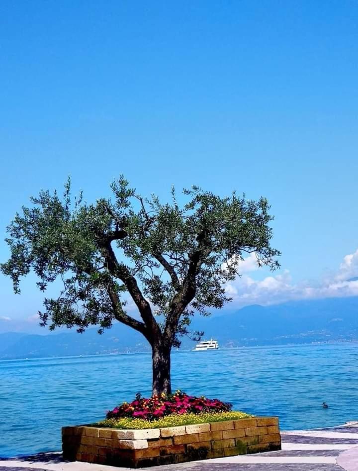 Mahatma Residence Lake View لاتيزي الغرفة الصورة